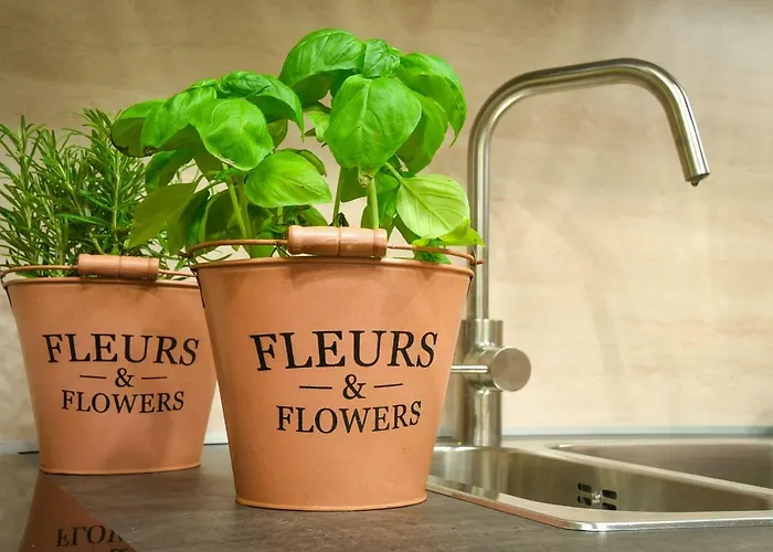 H68 Alojamento de Acomodação e Pequeno-almoço